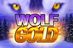 wolf-gold