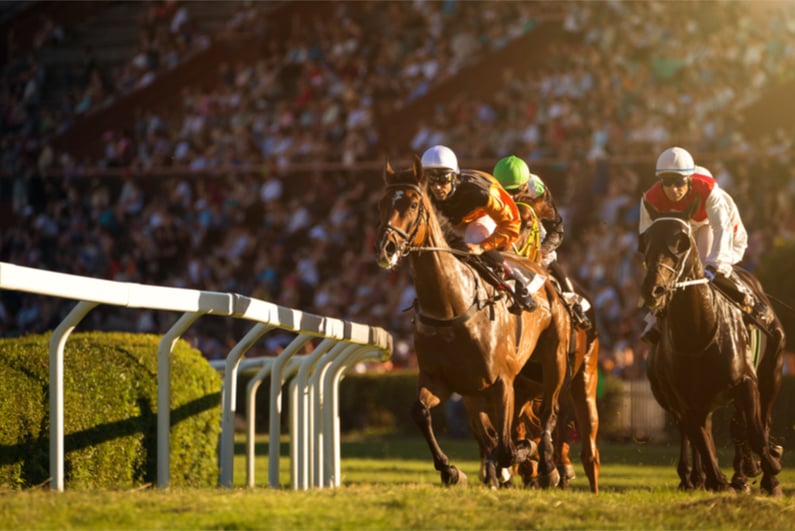 Horses race to the finish line