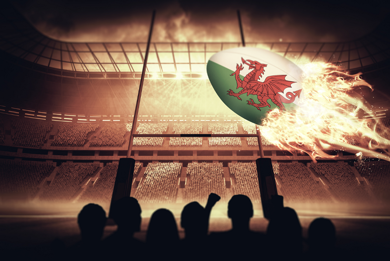 Silhouettes of Welsh supporters against rugby pitch.